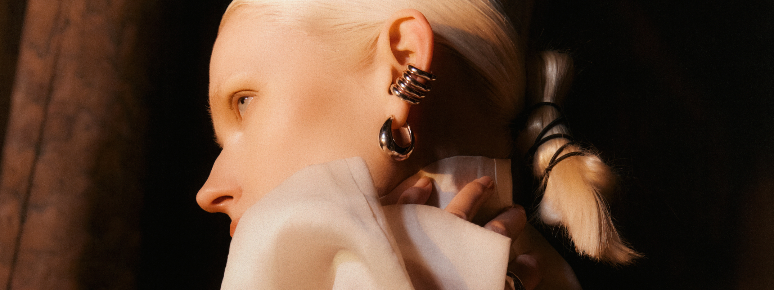 LookBook: Silver Spectrum