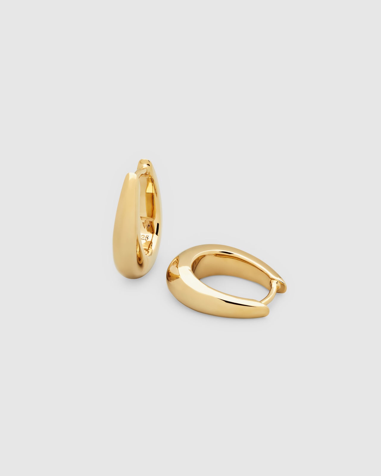 Liz Hoops Gold