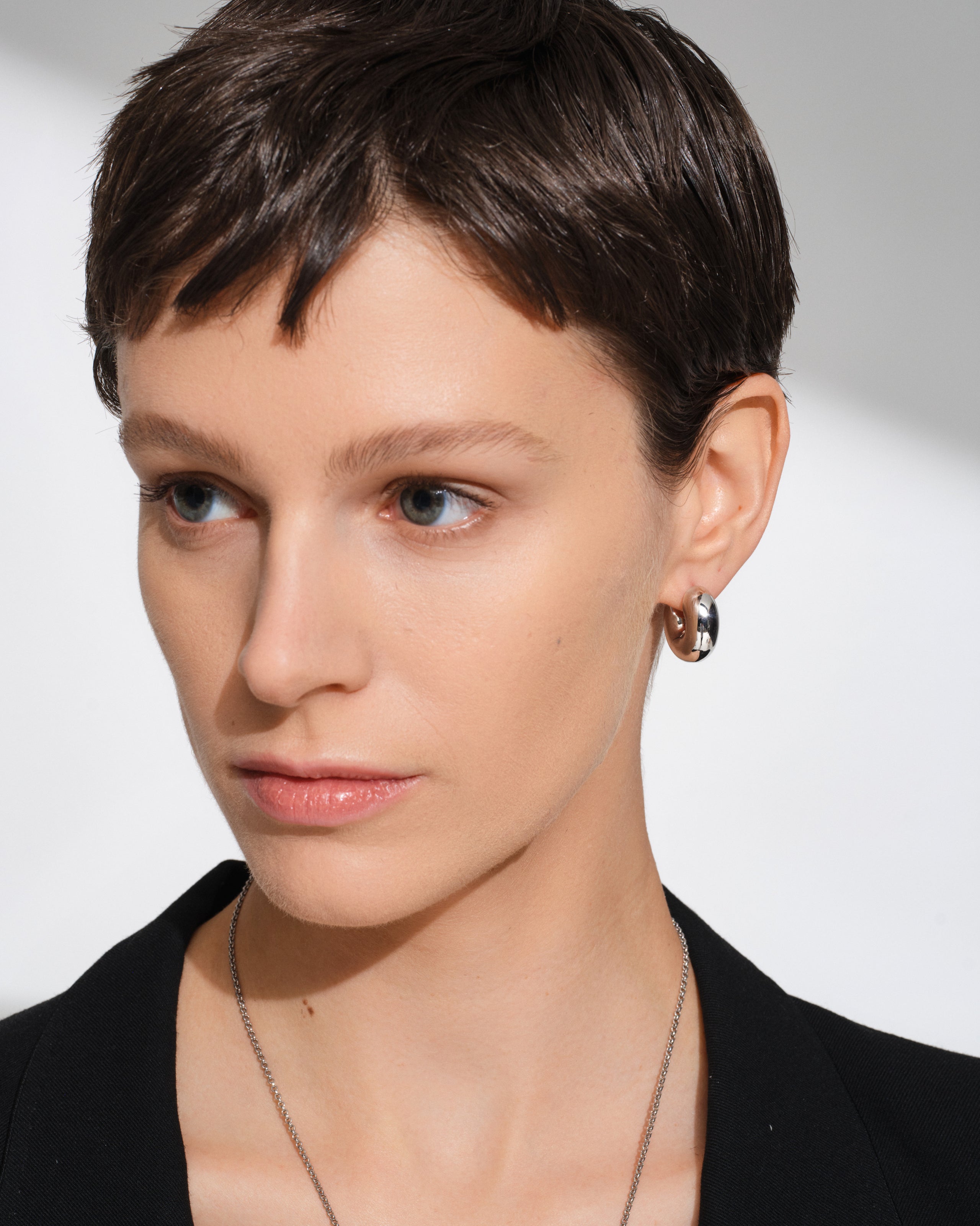 Sphere Hoops