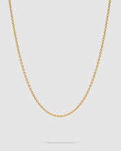 A delicate gold chain necklace with small, uniform links, displayed in a U-shape against a solid light gray background.