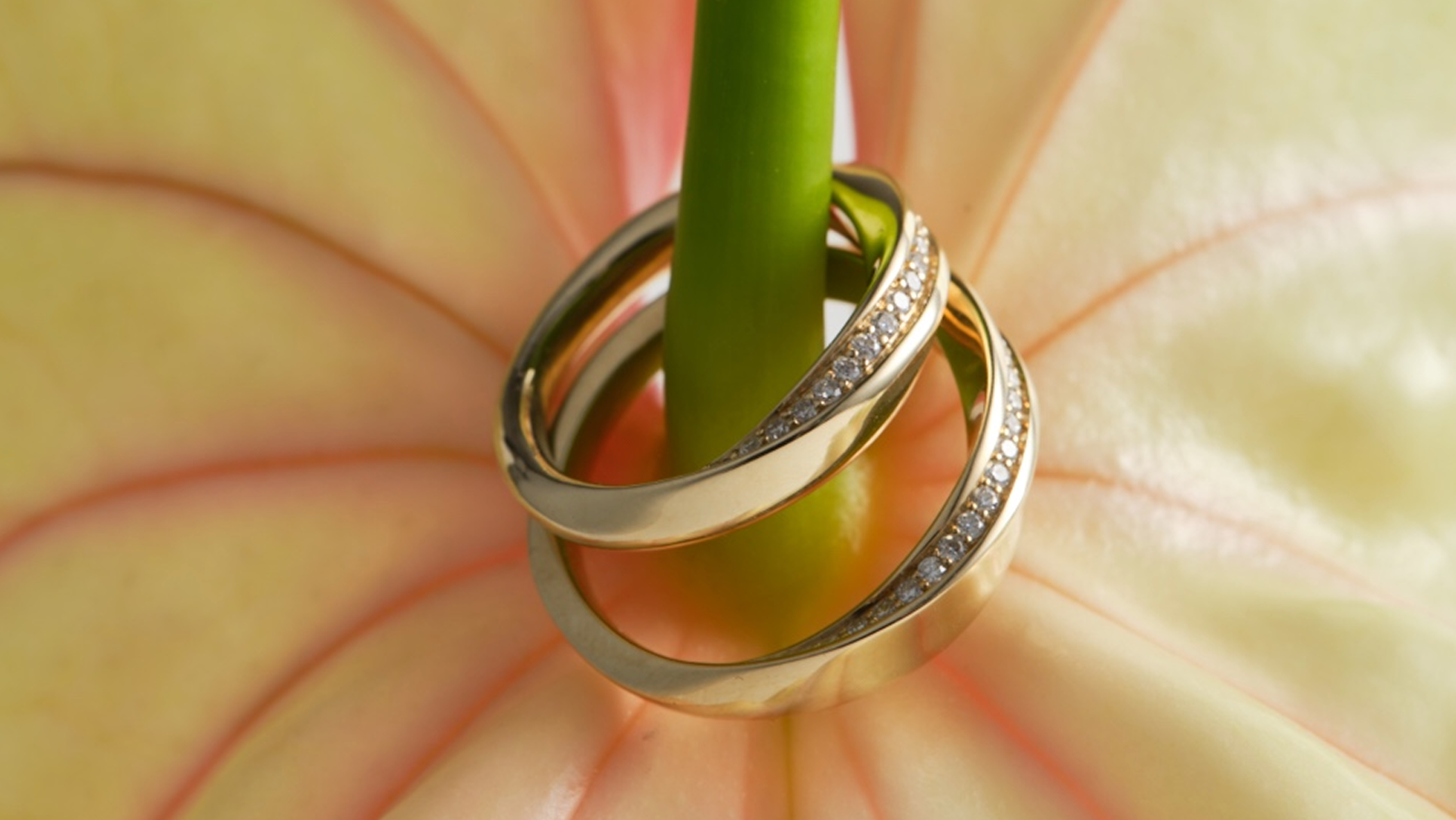 Two gold wedding bands with small clear stones, stacked on a green stem and resting on a pale yellow and pink flower.